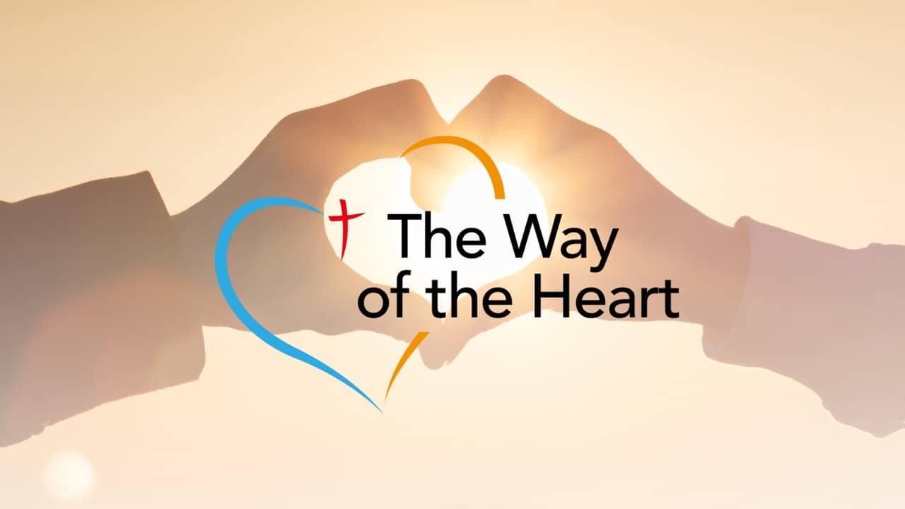 Tarjetas Web Internacional - SJD - 1