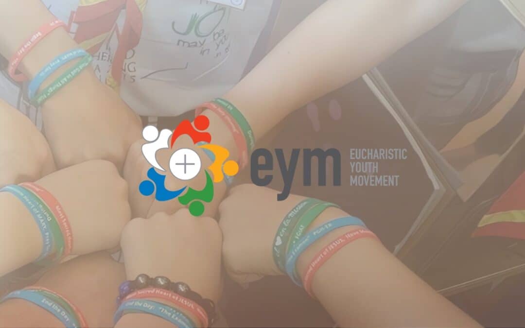 Tarjetas Web Internacional - SJD - 6